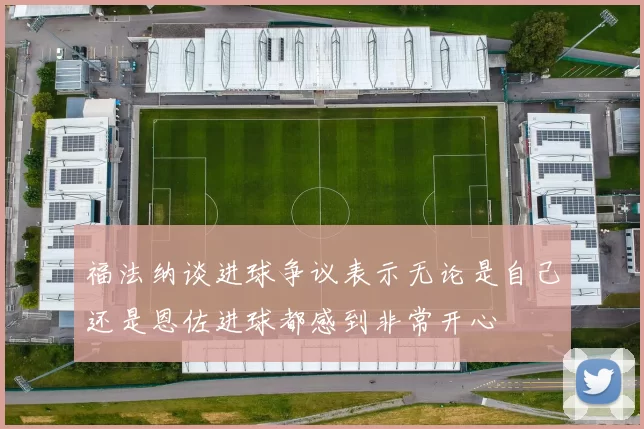 福法纳谈进球争议表示无论是自己还是恩佐进球都感到非常开心