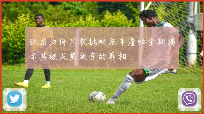 狄龙为何只敢挑衅老年詹帕金斯揭示其被灰熊放弃的真相